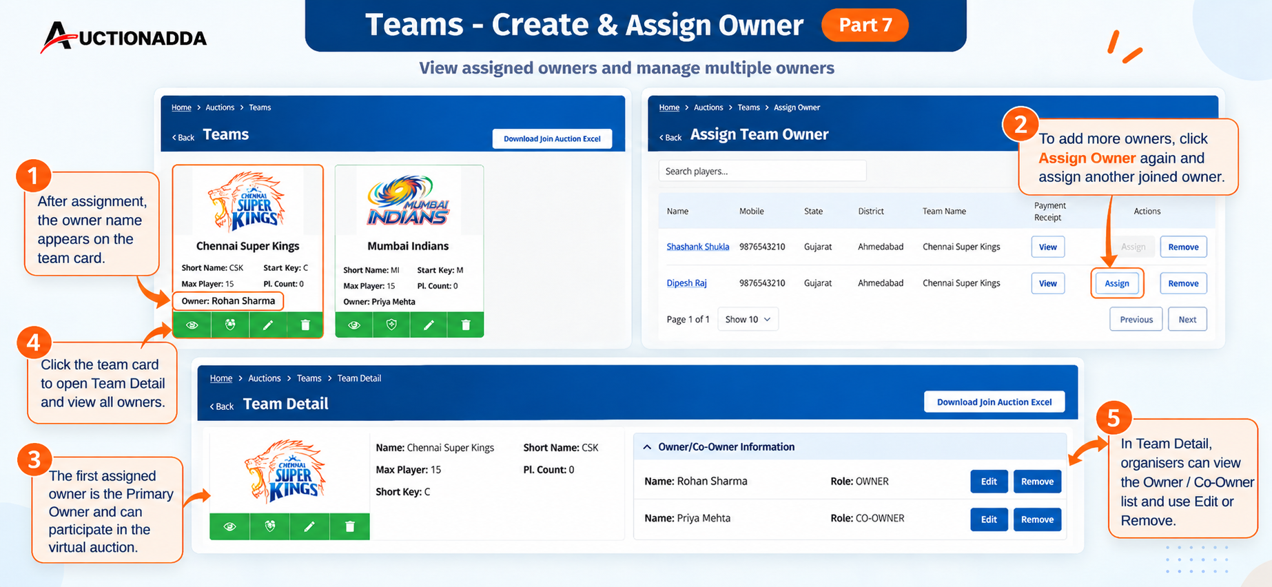 Manage Team Owners